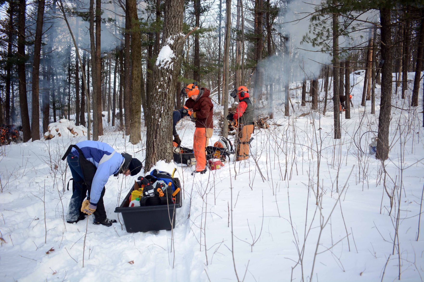 Devil's Lake east bluff stewardship work